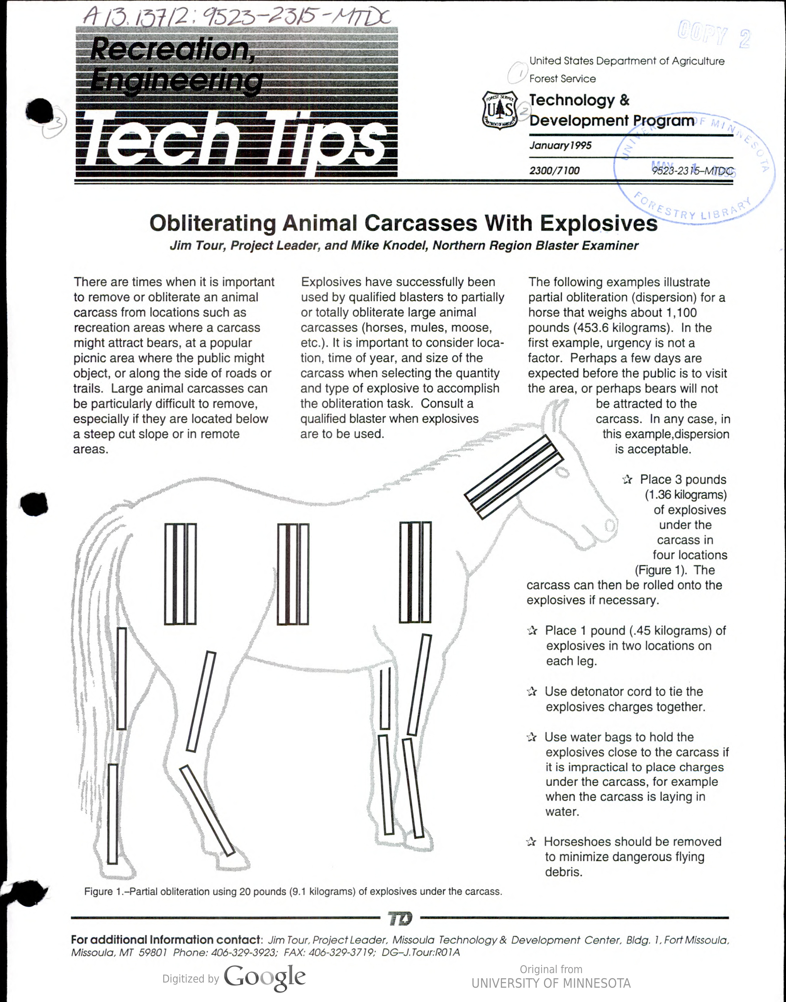 a forest service manual instructing on how to detonate livestock to prevent attracting bears, page 1, with a outline of a horse and an example pattern of dynamite placement