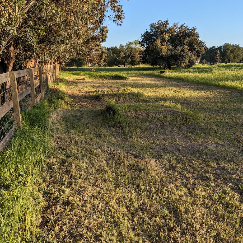 a photo in golden lighting, looking down the main rhythm section of the rc track, freshly mowed with double and tabletop, the banked turn in the distance