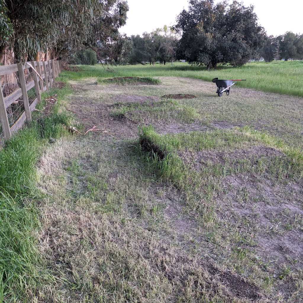 a photo looking down the main rhythm section of the rc track, recently mowed with double and tabletop and banked turn in the distance, with a wheelbarrow and shovel next to a new jump in construction