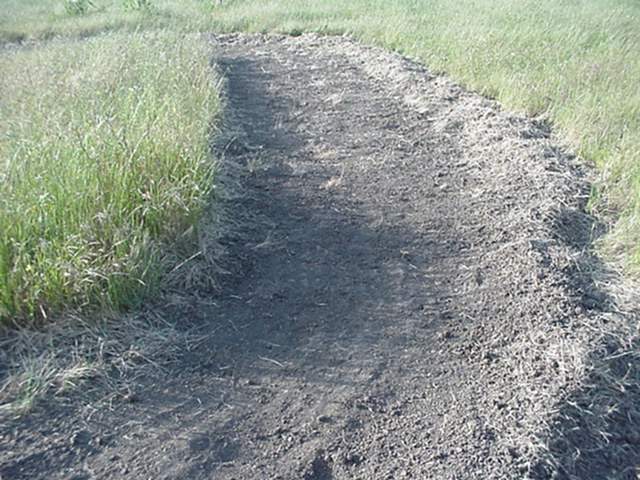 a somewhat groomed lane of an RC track, with a swept hard surface
